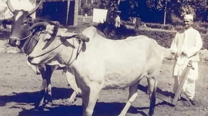 आखिर क्यों भूल जाते हैं भारत के लाल लाल बहादुर शास्त्री जी को